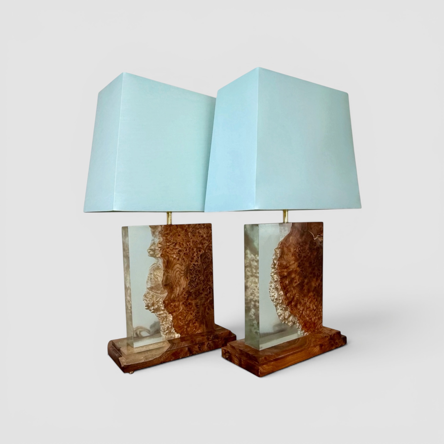 Pair of burr elm and resin table lamps
