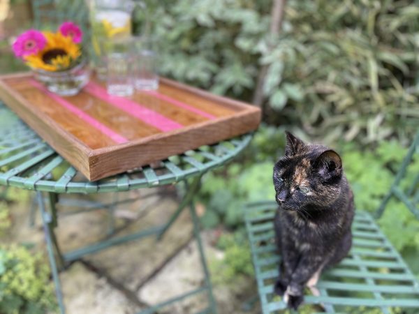 Elm and Pink Resin Tray with Cat
