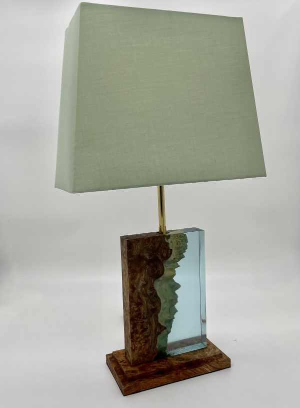 Burr Elm and Resin Lamp with Shade